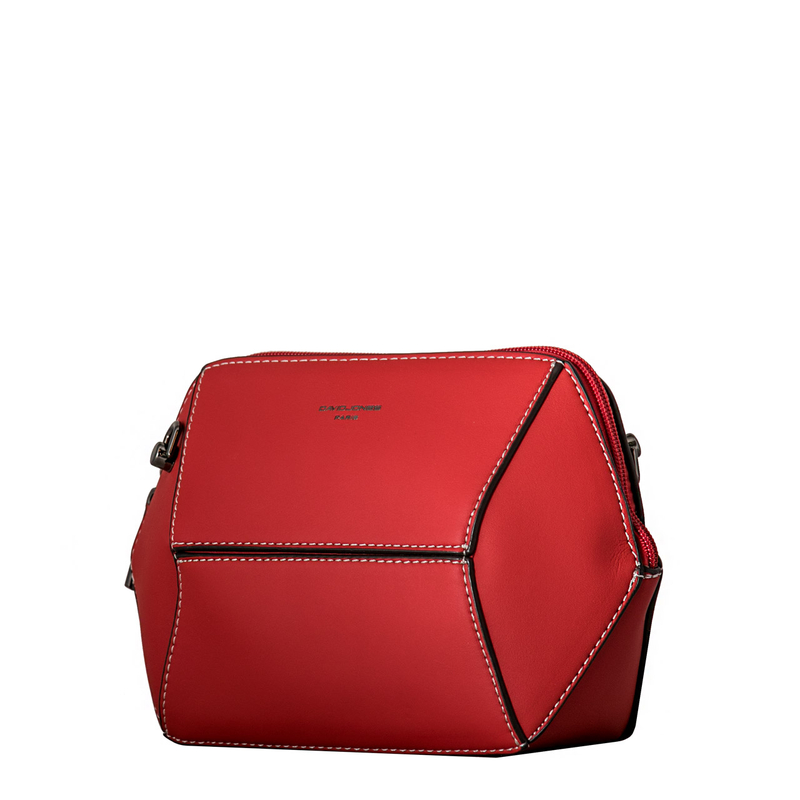 David Jones 6132-1
