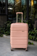 چمدان سایز متوسط مدل Rose Merry RL-301-Medium