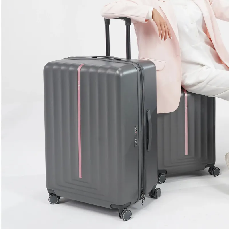 چمدان سایز بزرگ مدل Rose Merry RL-203-Large_Grey