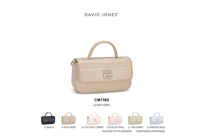  کیف دستی زنانه دیوید جونز مدل David Jones CM7385