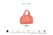 کیف دستی زنانه دیوید جونز مدل David Jones CM7430