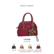 کیف دستی زنانه دیوید جونز مدل David Jones CM7680