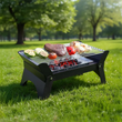 باربیکیو ذغالی گرین لاین مدل GREEN LION GREEN LION QUDRA FOLDABLE BBQ GRILL GNQDRBBQSTBK
