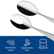 ست قاشق و چنگال ۲ تکه سالاد Villeroy & Boch Sereno XXL