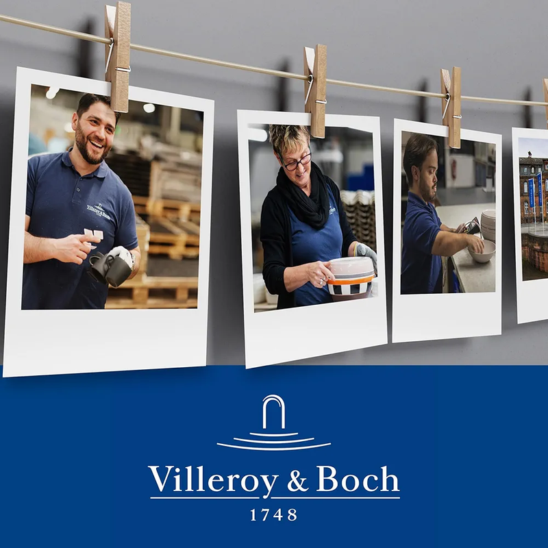 ست قاشق و چنگال ۲ تکه سالاد Villeroy & Boch Sereno XXL