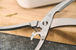 قیچی مرغ ZWILLING