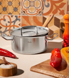  قابلمه Profi  ‏FISSLER (20 سانتی متر)