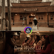 رنگ سینمایی Dark Wood LUT