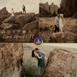 رنگ سینمایی Dark Wood LUT