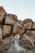 رنگ سینمایی Dark Brown Qeshm LUT