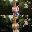 پریست رنگ Gold Jungle Preset