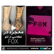 کیت FOX Tattoo Artist KIT | کیت مخصوص عکاسی از تتو برند FOX ( لنز CPL - نور - پایه - هولدر )