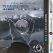 مجموعه رنگ های Peter McKinnon LUT Pack
