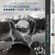 مجموعه رنگ های Peter McKinnon LUT Pack