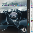 مجموعه رنگ های Peter McKinnon LUT Pack
