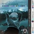 مجموعه رنگ های Peter McKinnon LUT Pack
