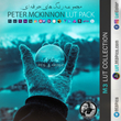 مجموعه رنگ های Peter McKinnon LUT Pack