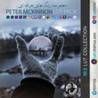 مجموعه رنگ های Peter McKinnon LUT Pack
