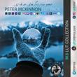 مجموعه رنگ های Peter McKinnon LUT Pack