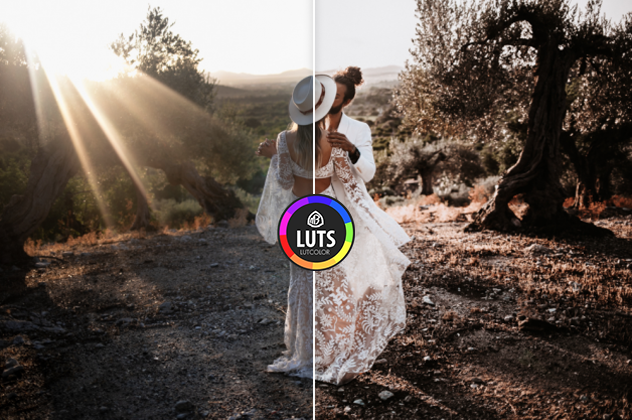پریست Vicky Baumann – AURA PRESETS ( نسخه اصلی و کامل )