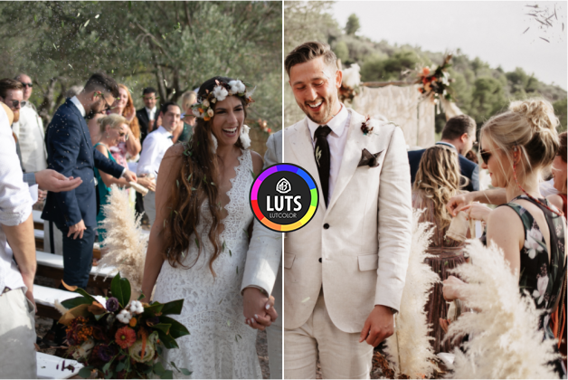 پریست Vicky Baumann – AURA PRESETS ( نسخه اصلی و کامل )