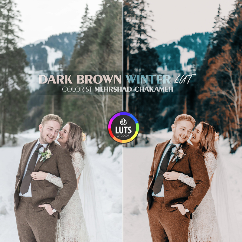 مجموعه رنگ Dark Brown Winter LUT