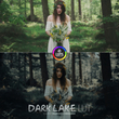 رنگ سینمایی Dark Lake LUT