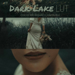 رنگ سینمایی Dark Lake LUT
