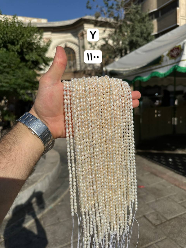 مروارید پرورشی