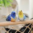 اسباب بازی گربه پرنده آوازه خوان