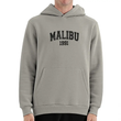 نمای جلو هودی MALIBU مردانه 1991 مدل GK1945 رنگ طوسی