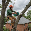 اره زنجیری برقی گرین لاین مدل GREEN LION GES-12 CORDLESS ELECTRIC CHAINSAW GNGES12SAWGN