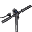 اسکوتر برقی گرین لاین مدل GREEN LION GBK-250- E-SCOOTER GNGBK250ESBK