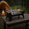 باربیکیو ذغالی گرین لاین مدل GREEN LION GREEN LION QUDRA FOLDABLE BBQ GRILL GNQDRBBQSTBK