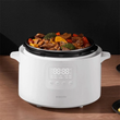زودپز شیائومی 4.8L مدل XIAOMI ELECTRIC PRESSURE COOKER