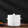 زودپز شیائومی 4.8L مدل XIAOMI ELECTRIC PRESSURE COOKER
