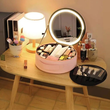 کیف لوازم آرایش با آینه چراغ دار گرین لاین مدل GREEN LION MAKEUP ORGANIZER PRO GNMAKEORGPK