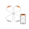 کش ورزشی هوشمند پرودو مدل PORODO SMART SPIDER RESISTANCE BAND PD-LFST027-GY