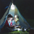 لامپ شارژی 40W بیوا مدل BIVA LED-01 LIGHT