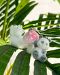 فون چارم 4374